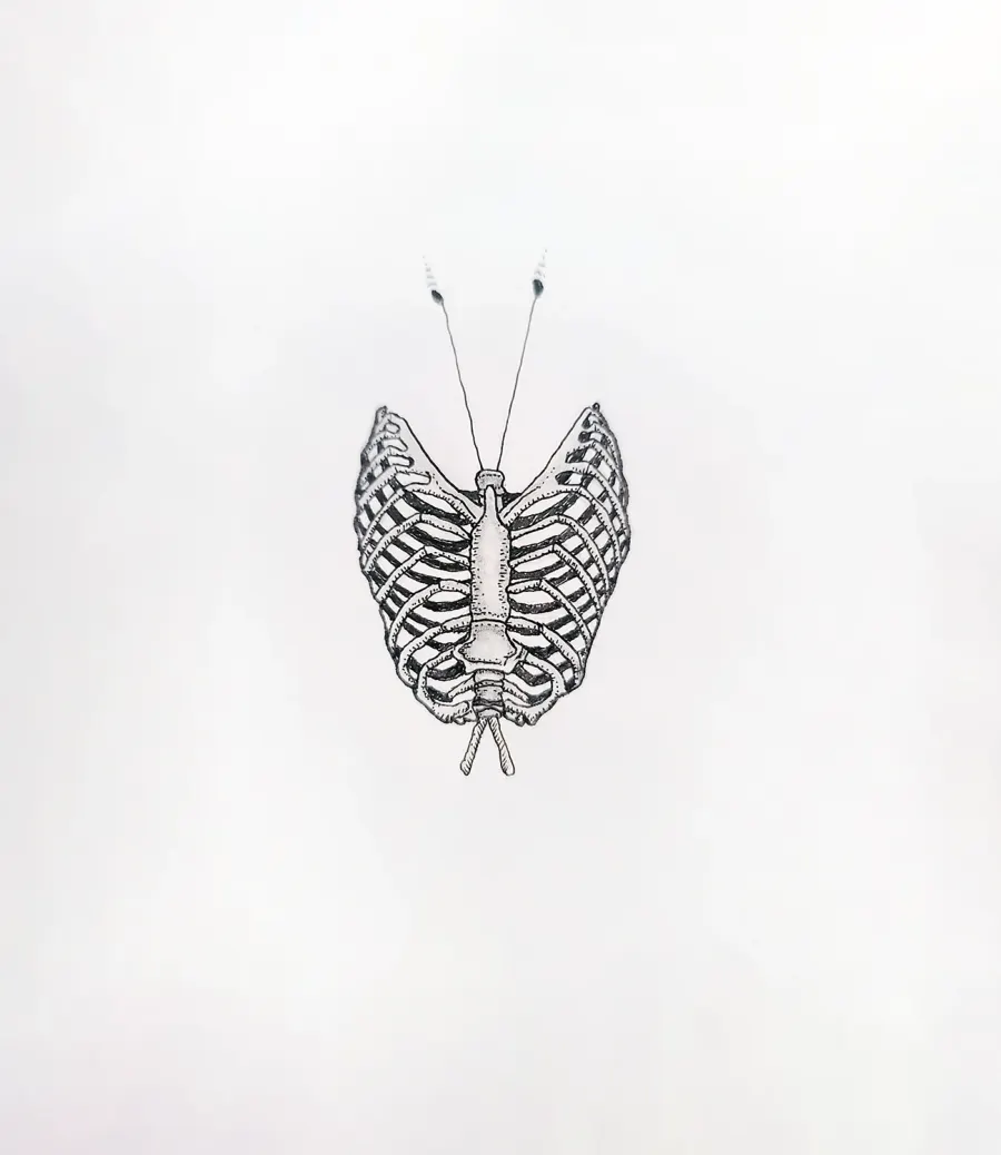 Elder, drawing
