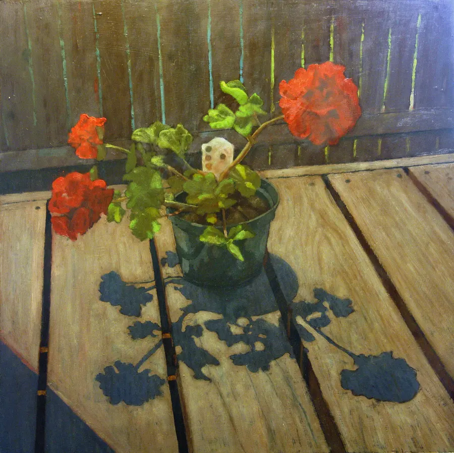 Red geraniums in a pot on a wooden deck, throwing long blue shadows