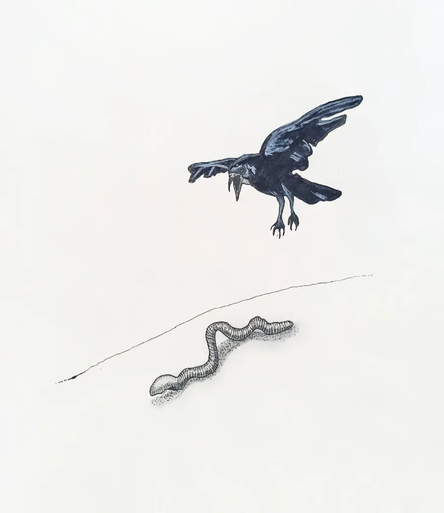 Spring, drawing